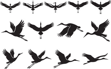 Fototapeta premium Collection of various crane silhouettes in different flying positions