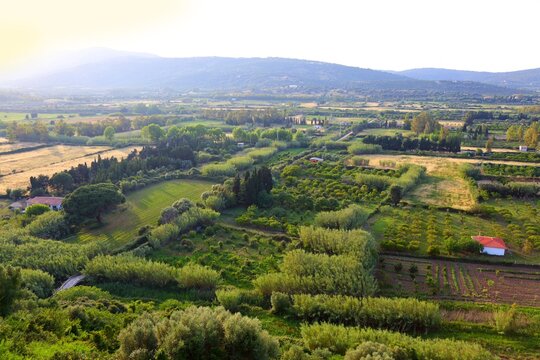Sardinia agricultural landscape in Posada. Rural landscape in Province of Nuoro. Orchards of Sardinia, Italy.