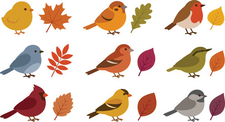 Cute Autumn Birds and Fall Leaves Vector Icon Set with Robin, Cardinal, Sparrow, and Colorful Foliage for Woodland Seasonal Craft and Greeting Designs © MdMizanur