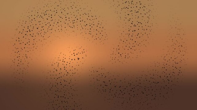 Birds flying at sunset over a landscape covered in mist and haze