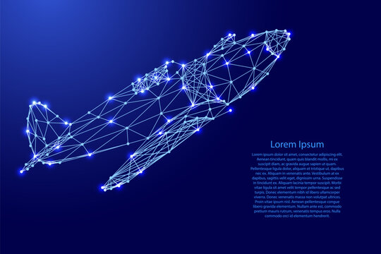 old fighter plane from futuristic polygonal blue lines and glowing stars for banner, poster, greeting card