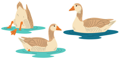 Set of three brown geese swimming on water  one is upside down with legs up. Hand drawn vector illustration © Алла Машичева