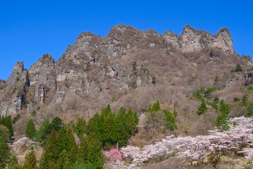 Fototapeta premium 群馬県下仁田町の妙義さくらの里から望む妙義山