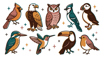 Obraz premium Various colorful cartoon birds, including an owl, eagle, and toucan, are illustrated in a charming, whimsical style on a clean white background