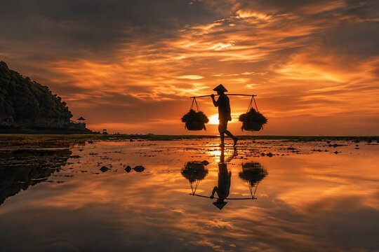 Silhouette of Seaweed Farmer Carrying Shoulder Pole Baskets on Beach at Golden Sunset, Bali