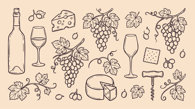 Hand Drawn Wine and Cheese Elements with Grape Vine Sketch Set