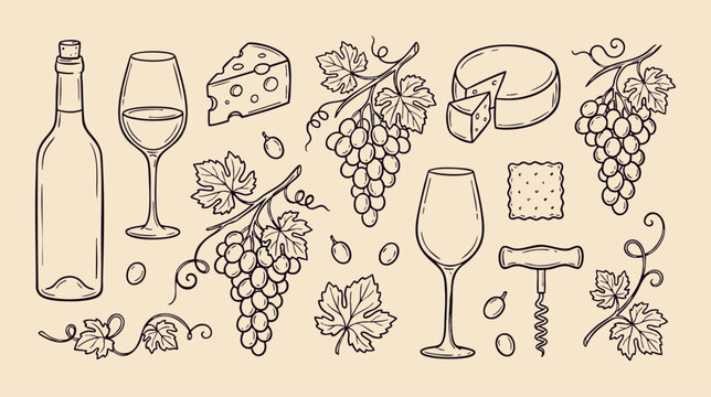 Wine and Cheese Tasting Elements with Grape Vine Vector Sketch Collection