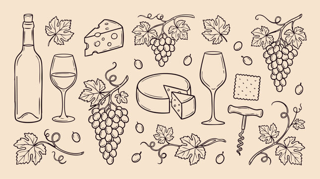 Wine Bottle, Cheese and Grape Vineyard Elements Vector Sketch Collection