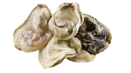 Fresh raw oysters with shells open, revealing plump meat © Tibor
