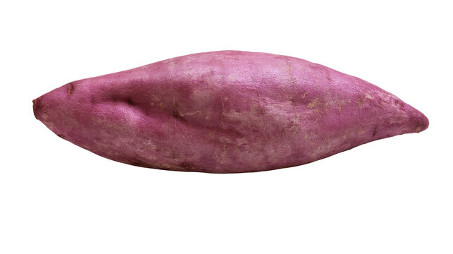 Purple sweet potato tuber with textured skin