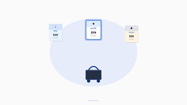 Digital travel ticket booking and price selection animation