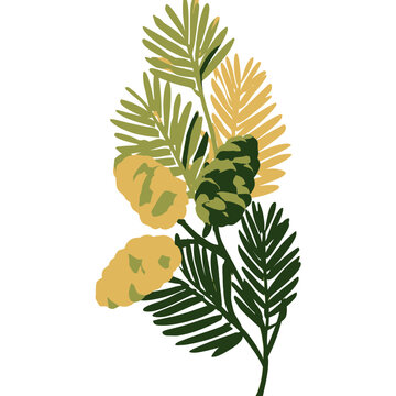 Sequoia Foliage Botanical Plant Illustration