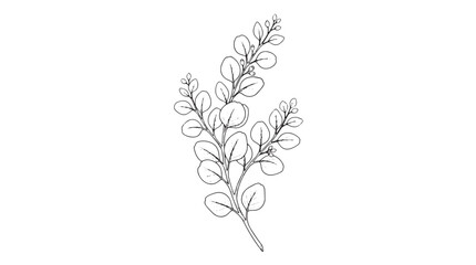 Minimalist eucalyptus branch line art, botanical leaf drawing vector, elegant hand drawn floral element for wedding invitations and branding © Rehana