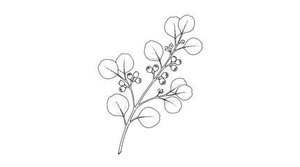 Minimalist eucalyptus branch line art, hand drawn botanical leaf vector illustration, elegant floral wedding invitation element, black and white foliage © Rehana