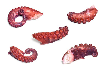 Boiled octopus tentacles seafood pieces on white background © cosmicanna