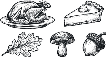 Hand drawn Thanksgiving vector illustration set with roasted turkey pumpkin pie slice autumn leaf mushroom and acorn isolated on white background © MstRowshanAra