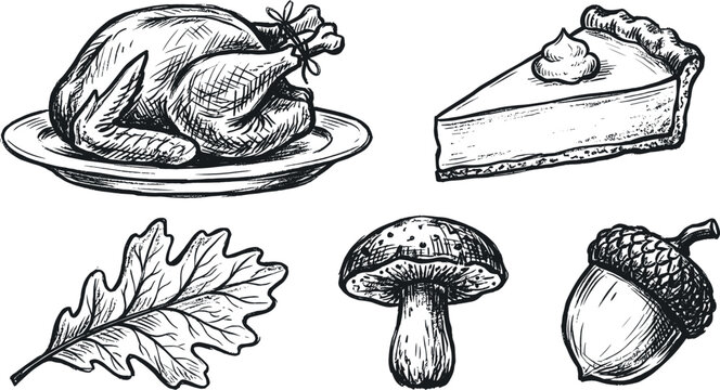 Hand drawn Thanksgiving vector illustration set with roasted turkey pumpkin pie slice autumn leaf mushroom and acorn isolated on white background