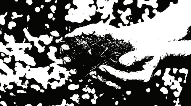 Hands Holding Rich Soil, Black and White, Abstract Background, Growth Concept