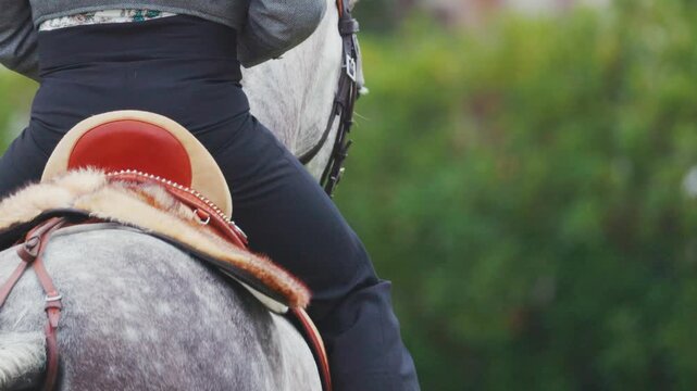 Lusitano horse rider in gray attire adjusts posture while seated on a gray horse with a decorative saddle in a lush green outdoor setting