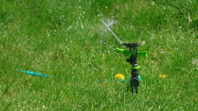 Garden sprinkler reducing water stream and turning off on fresh grass with dandelions. Irrigation system deactivating in backyard, lawn watering cycle finishing and moisture supply ending. Automatic