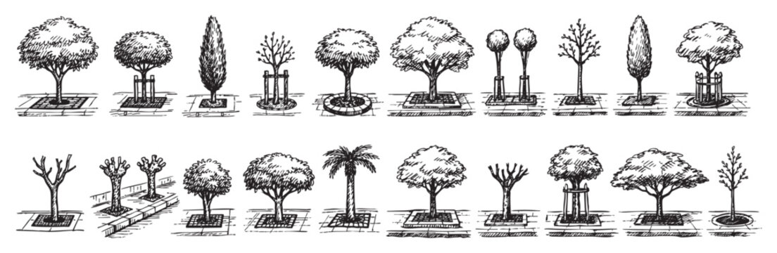 Various hand-drawn urban trees and saplings with different foliage and protective structures, depicted in a black and white sketch style on a clean white background
