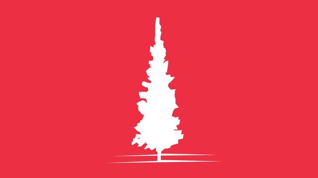 Minimalist white pine tree animation on red background loop