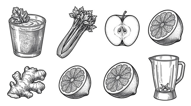 Green smoothie ingredients and blender vector illustration set in vintage engraving style