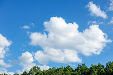 Fototapeta premium Green woodland under a bright blue sky with a huge white cloud. Concept of environmental ecology, atmosphere monitoring, and climate change. Weather patterns, meteorology, and changing climate.