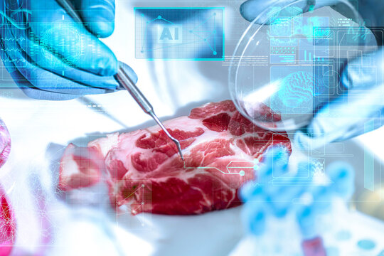 Raw pork steak examined next to a petri dish in a biotech laboratory. Concept of cultivated meat research, cell culture, AI-powered quality control, and traceability for modern food tech
