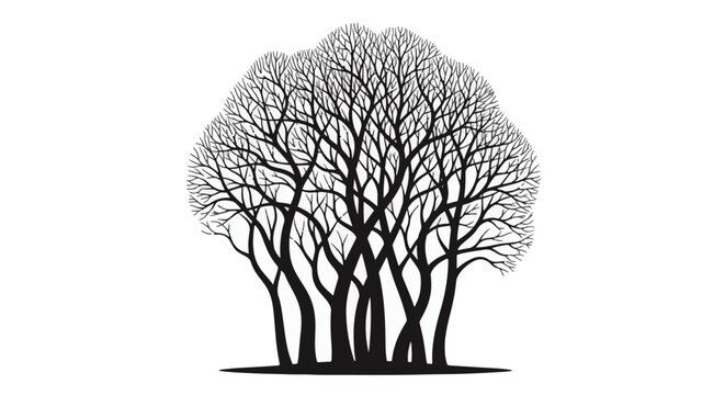 Black silhouette of a group of bare deciduous trees with intricate branch patterns and leafless limbs, minimalist winter tree cluster isolated on a plain white background for design.
