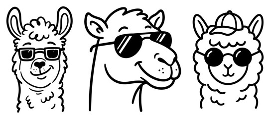 Obraz premium Cute llama and camel characters wearing sunglasses in doodle style