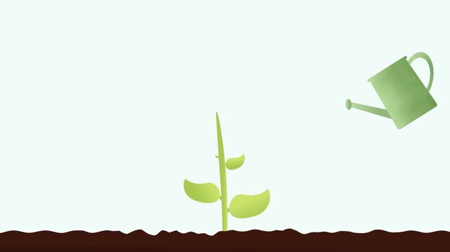 Plant Growth Animation with Watering Can, Seedling Growing from Soil Flat Vector Motion Graphic