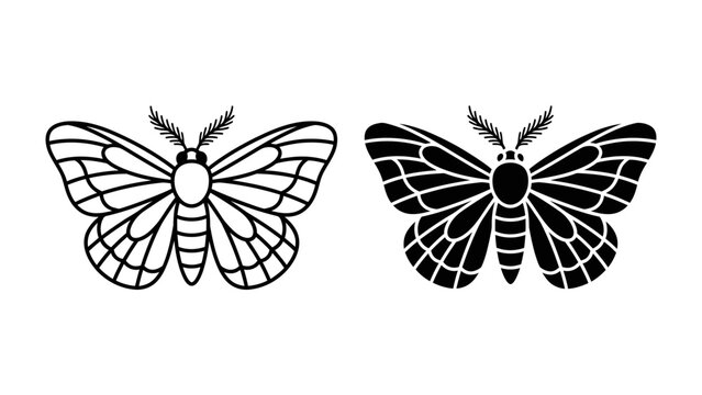 Two Moths, One Silhouette: A striking black and white illustration showcasing two detailed moths, one outlined in fine lines and the other as a solid silhouette.