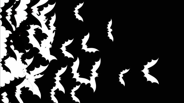 Group of bats flying transition on green screen background. Bats flying wipe transition overlay for compositing and presentation. Halloween Spooky 2d  Bats covering screen transition on alpha channel.