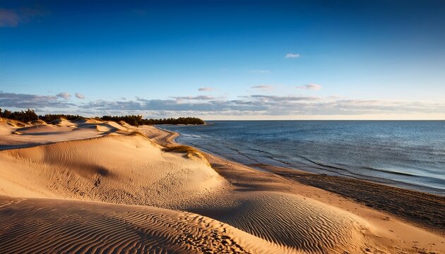 Coastal Sand Dunes Monas Finland