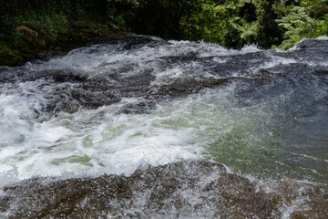Fototapeta premium Rushing River Rapids Over Rocky Forest Ledge