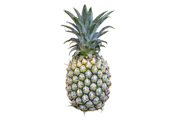 Fototapeta premium Raw green tropical pineapple with sharp crown cut out on empty background.