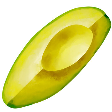 Avocado Half Without Seed Illustration Isolated PNG
