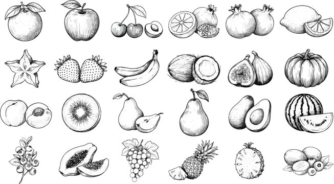 Hand drawn black and white fruit vector collection featuring engraved style apple banana strawberry coconut avocado papaya kiwi and lemon elements isolated on white background