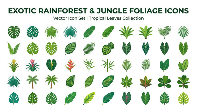 Tropical Leaves Icons Vector Set.