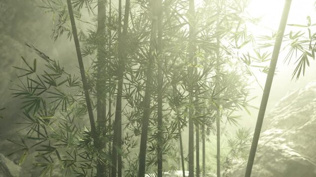 Towering bamboo stalks backlit by morning, soft haze and rim light define vertical forms, tranquil grove corridor invites contemplative stroll through luminous