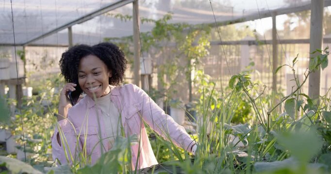Mid-adult woman in pink shirt answering smartphone call while walking in greenhouse tending plants