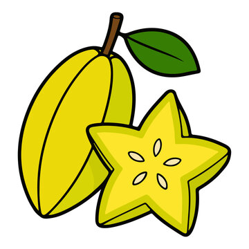 Star fruit vector illustration