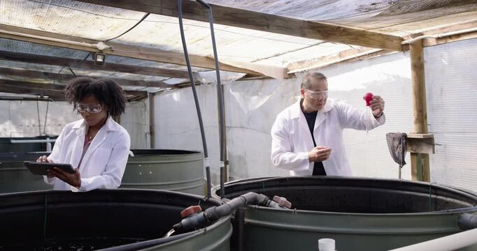 Diverse labcoats Senior Asian using bulb sampling tank water check in farm African tech on tablet