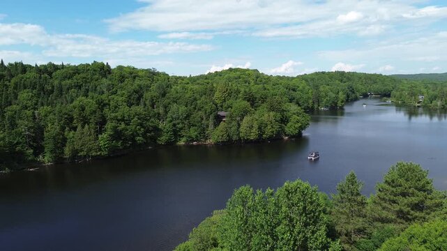 Un ponton au milieu d'un lac, dans les bois. Vue sur la rivi&egrave;re et la for&ecirc;t par une journ&eacute;e d'&eacute;t&eacute; ensoleill&eacute;e.