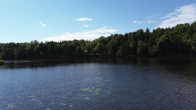 Eau d'un lac en for&ecirc;t, Qu&eacute;bec, Canada.