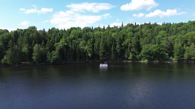 Un ponton au milieu d'un lac, dans les bois. Vue sur la rivi&egrave;re et la for&ecirc;t par une journ&eacute;e d'&eacute;t&eacute; ensoleill&eacute;e.