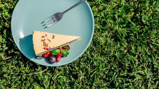 Slice of mango cake on a blue plate in the grass