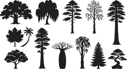 A collection of twelve distinct tree silhouettes, featuring various species including oak, willow, pine, maple, palm, baobab, spruce, and bonsai, rendered in solid black on a white background © MdAbu