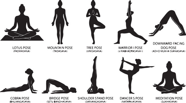A collection of ten black silhouette yoga poses, including lotus, mountain, tree, warrior i, downward facing dog, cobra, bridge, shoulder stand, dancer, and meditation poses on a white background